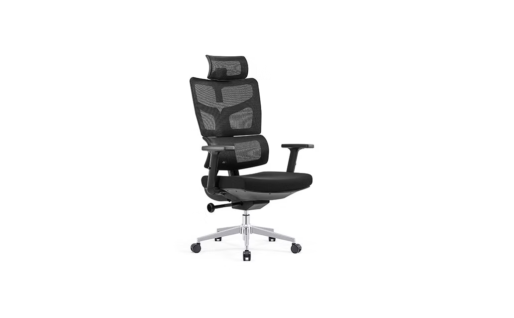 EC-1 Ergonomic Chair